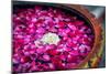 Flowers in Spa-Marina Pissarova-Mounted Photographic Print