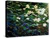Flowers in stream-Linda Arthurs-Stretched Canvas