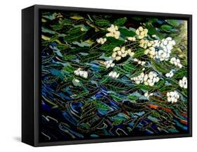 Flowers in stream-Linda Arthurs-Framed Stretched Canvas