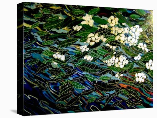 Flowers in stream-Linda Arthurs-Stretched Canvas