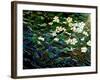 Flowers in stream-Linda Arthurs-Framed Giclee Print