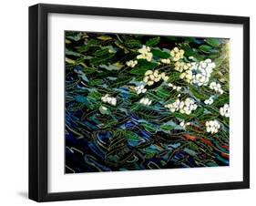 Flowers in stream-Linda Arthurs-Framed Giclee Print