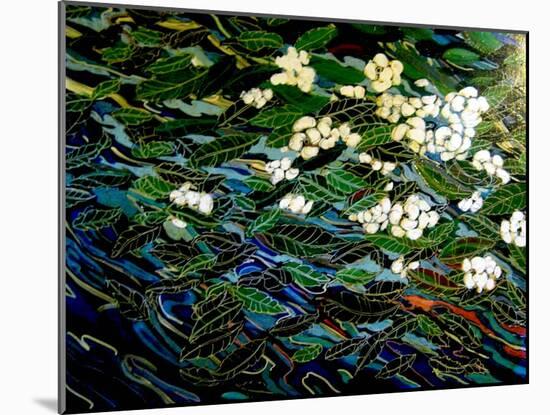 Flowers in stream-Linda Arthurs-Mounted Giclee Print