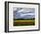 Flowers in the Field-Trey Ratcliff-Framed Photographic Print