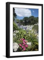 Flowers in the Foreground-Natalie Tepper-Framed Photo