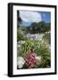 Flowers in the Foreground-Natalie Tepper-Framed Photo