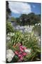 Flowers in the Foreground-Natalie Tepper-Mounted Photo