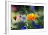 Flowers in the Garden of the Alhambra-Alex Saberi-Framed Photographic Print