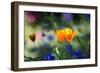 Flowers in the Garden of the Alhambra-Alex Saberi-Framed Photographic Print