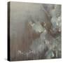 Flowers in the Morning Fog-Terri Burris-Stretched Canvas