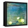 Flowers in the Pond-Andrew Michaels-Framed Stretched Canvas