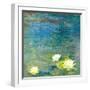 Flowers in the Pond-Andrew Michaels-Framed Art Print