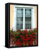 Flowers in Window Box, Lower Town, Zagreb, Croatia-Lisa S. Engelbrecht-Framed Stretched Canvas
