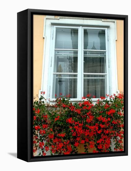 Flowers in Window Box, Lower Town, Zagreb, Croatia-Lisa S. Engelbrecht-Framed Stretched Canvas