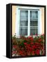 Flowers in Window Box, Lower Town, Zagreb, Croatia-Lisa S. Engelbrecht-Framed Stretched Canvas