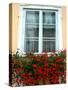 Flowers in Window Box, Lower Town, Zagreb, Croatia-Lisa S. Engelbrecht-Stretched Canvas