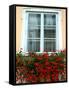 Flowers in Window Box, Lower Town, Zagreb, Croatia-Lisa S. Engelbrecht-Framed Stretched Canvas