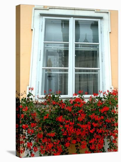 Flowers in Window Box, Lower Town, Zagreb, Croatia-Lisa S. Engelbrecht-Stretched Canvas