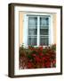 Flowers in Window Box, Lower Town, Zagreb, Croatia-Lisa S. Engelbrecht-Framed Photographic Print