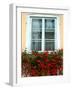 Flowers in Window Box, Lower Town, Zagreb, Croatia-Lisa S. Engelbrecht-Framed Photographic Print