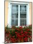 Flowers in Window Box, Lower Town, Zagreb, Croatia-Lisa S. Engelbrecht-Mounted Photographic Print