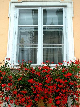 https://imgc.allpostersimages.com/img/posters/flowers-in-window-box-lower-town-zagreb-croatia_u-L-P2TNBI0.jpg?artPerspective=n