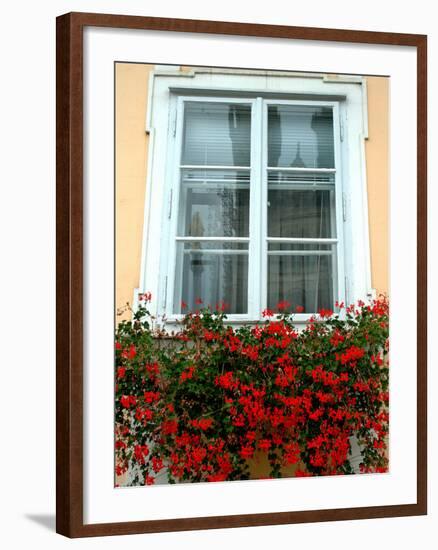 Flowers in Window Box, Lower Town, Zagreb, Croatia-Lisa S. Engelbrecht-Framed Photographic Print