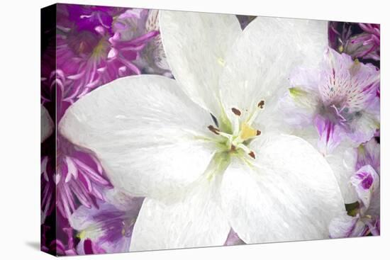 Flowers-lily, alstroemeria, dianthus and chrysanthemum arrangement, Marion County, Illinois.-Richard & Susan Day-Stretched Canvas