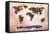 Flowers Map-Mark Ashkenazi-Framed Stretched Canvas