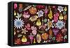 Flowers, Mix Flowers-Belen Mena-Framed Stretched Canvas