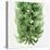 Flowers of a jade vine-Micha Pawlitzki-Stretched Canvas