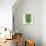 Flowers of a jade vine-Micha Pawlitzki-Photographic Print displayed on a wall