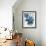 Flowers of Azure II-Angela Maritz-Framed Giclee Print displayed on a wall