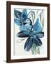 Flowers of Azure II-Angela Maritz-Framed Giclee Print