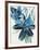 Flowers of Azure II-Angela Maritz-Framed Giclee Print