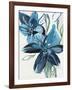 Flowers of Azure II-Angela Maritz-Framed Giclee Print