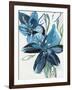 Flowers of Azure II-Angela Maritz-Framed Giclee Print