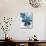 Flowers of Azure II-Angela Maritz-Stretched Canvas displayed on a wall
