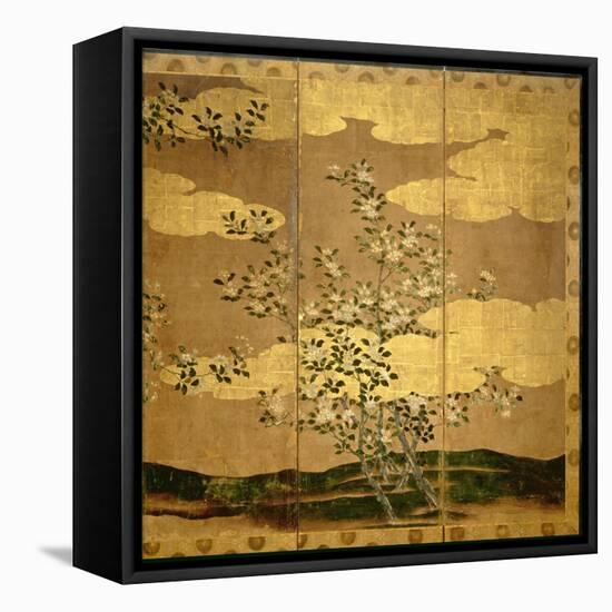 Flowers of Camellias-null-Framed Stretched Canvas