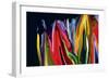 Flowers of Eden 2-Rabi Khan-Framed Premium Giclee Print