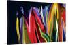 Flowers of Eden 2-Rabi Khan-Stretched Canvas