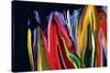 Flowers of Eden 2-Rabi Khan-Stretched Canvas