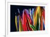 Flowers of Eden 2-Rabi Khan-Framed Art Print