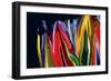 Flowers of Eden 2-Rabi Khan-Framed Art Print