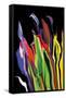 Flowers of Eden 4-Rabi Khan-Framed Stretched Canvas