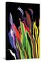 Flowers of Eden 4-Rabi Khan-Stretched Canvas