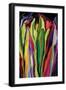 flowers of Eden 7-Rabi Khan-Framed Art Print