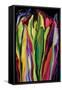 flowers of Eden 7-Rabi Khan-Framed Stretched Canvas