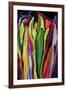 flowers of Eden 7-Rabi Khan-Framed Art Print