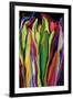 flowers of Eden 7-Rabi Khan-Framed Art Print